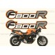 Kit autocollants - stickers bmw f 800 r année 2009