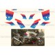 Kit autocollants - stickers bmw K 1300 R MOTORRAD