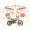 Autocollants - Stickers Yamaha super tenere xtz 660 année 2008 chesterfield