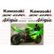 Autocollants - Stickers KAWASAKI ZX-10R Monster année 2008 à 2011