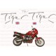 Kit autocollants Stickers triumph tiger 1050 année 2011 icon