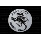 2 autocollants stickers ABARTH 