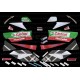 Autocollants - Stickers Honda VTR Sp2 Castrol