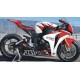 Autocollants stickers HONDA CBR 600 / 1000 RACING