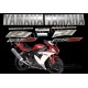 Kit autocollants Stickers Yamaha YZF-R1 2002 version rouge