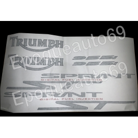 Autocollants Stickers triumph sprint st 955i année 2002