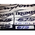 Autocollants Stickers triumph daytona triple 675 année 2010