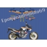 AUTOCOLLANTS -STICKERS HONDA TRANSALP XLV 700 ROTHMANS 