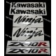 Autocollants - Stickers KAWASAKI ZX-10R année 2004 version vert