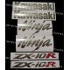Autocollants - Stickers KAWASAKI ZX-10R année 2005 version argent