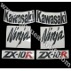 Autocollants - Stickers KAWASAKI ZX-10R année 2006 version vert