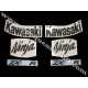 Autocollants - Stickers KAWASAKI ZX-10R année 2008 version vert