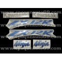 Autocollants - Stickers KAWASAKI ZX-12R année 2003 version argent