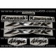 Autocollants - Stickers KAWASAKI ZX-12R année 2004 version argent