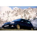 Renault clio williams / 16s