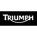 TRIUMPH DIVERS 