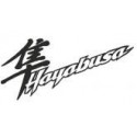 HAYABUSA